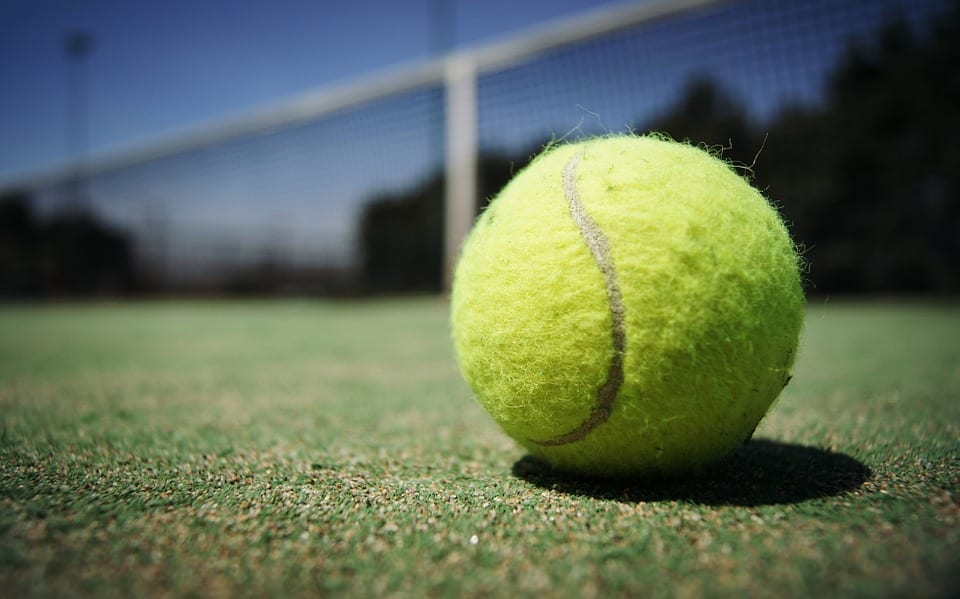 tennis ball types - regular duty
