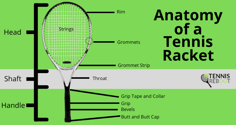 Anatomy of a Tennis Racket